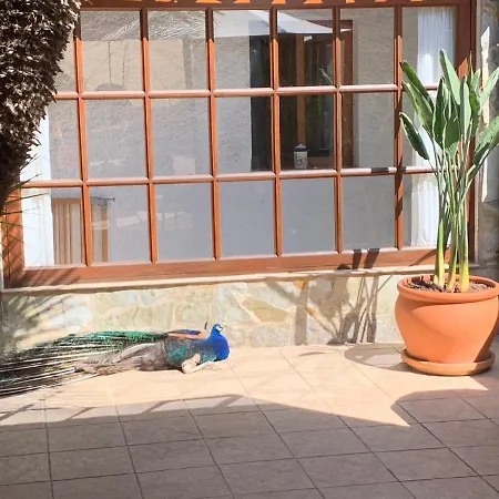 Casa Lisboa Holiday home